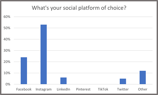 painting contractors prefer to use Instagram